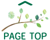 pagetop
